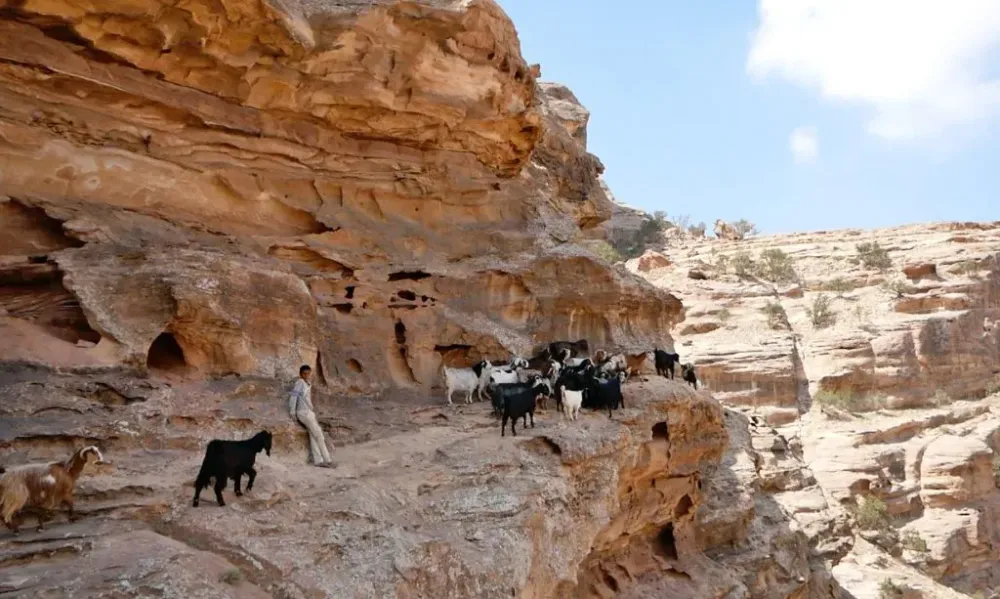back route to petra jordan travel